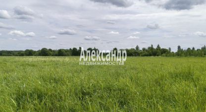 Продам земельный участок, Тосненский район, г. Территория участков примерное, Ленинградская обл., Россия, агентство Александр-Недвижимость. Фотография №1