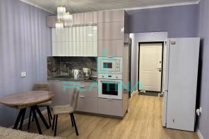 Сдам квартиру с общей площадью 25м2, 12/24 эт., на улице Космонавтов, г. Казань, Татарстан респ., Россия, агентство Платина