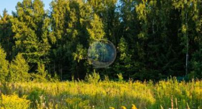 Купить земельный участок. Фотография №10 Купить земельный участок, Россия, г. Пок дарьино южное тер. Фотография №10
