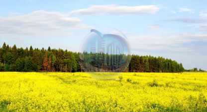 Купить земельный участок г. Ермолино д. Фотография №4 Купить земельный участок г. Ермолино д. Фотография №4