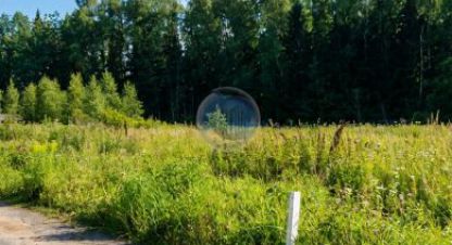 Купить земельный участок. Фотография №9 Купить земельный участок, Россия, г. Пок дарьино южное тер. Фотография №9