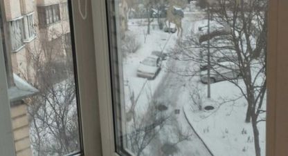 Купить 1 комнатную квартиру на улице Ахматовой Анны г. Киев. Фотография №4