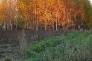 Продам земельный участок, на улице Клубная ул, г. Новая деревня, Нижегородская обл., Россия, агентство Адмирал Продам земельный участок, на улице Клубная ул, г. Новая деревня, Нижегородская обл., Россия, агентство Адмирал