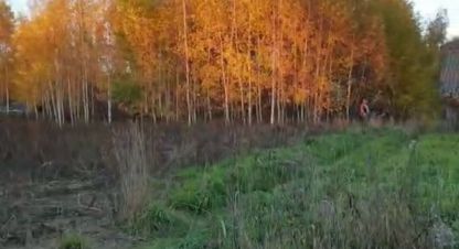 Продам земельный участок, на улице Клубная ул, г. Новая деревня, Нижегородская обл., Россия, агентство Адмирал. Фотография №1