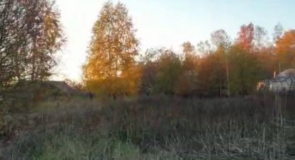 Купить земельный участок в г. Новая деревня. Фотография №3
