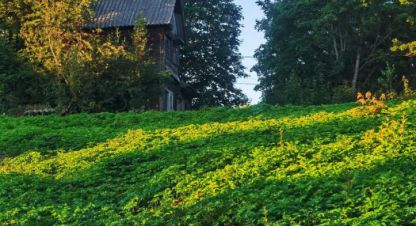 Купить земельный участок, Россия, г. Куйворы. Фотография №8