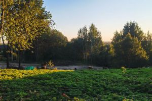 Продам земельный участок, на улице -, г. Куйворы, Ленинградская обл., Россия, агентство Адмирал