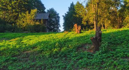 Продаётся земельный участок в г. Куйворы. Фотография №6