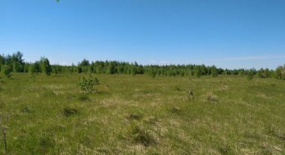 Купить земельный участок в г. Лазурный. Фотография №3
