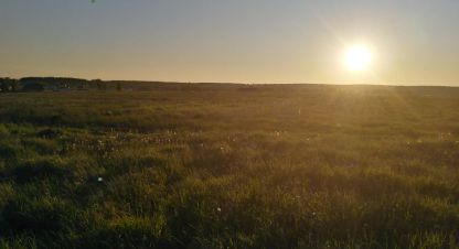 Купить земельный участок в г. Ключи. Фотография №2