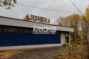 Сдам торговое помещение с общей площадью 137м2, на улице Шишканя, Всеволожский район, г. Всеволожск, Ленинградская обл., Россия, агентство Александр-Недвижимость