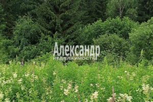 Продам земельный участок, на улице Суворова, Лахденпохский район, г. Лахденпохья, Карелия респ., Россия, агентство Александр-Недвижимость