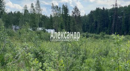 Купить земельный участок в г. Всеволожск. Фотография №2 Купить земельный участок в г. Всеволожск. Фотография №2