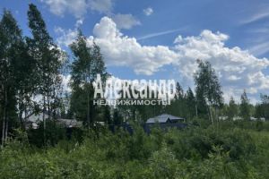 Продам земельный участок, на улице Рубцова, Всеволожский район, г. Всеволожск, Ленинградская обл., Россия, агентство Александр-Недвижимость