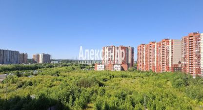 Продаётся квартира в г. Мурино. Фотография №7 Продаётся квартира в г. Мурино. Фотография №7