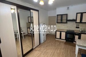Сдам квартиру с общей площадью 26м2, 3/16 эт., на улице Воронцовский, Всеволожский район, г. Мурино, Ленинградская обл., Россия, агентство Александр-Недвижимость