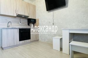Сдам квартиру с общей площадью 22м2, 7/13 эт., на улице Чирикова, Василеостровский район, г. Санкт-Петербург, Санкт-Петербург, Россия, агентство Александр-Недвижимость Сдам квартиру с общей площадью 22м2, 7/13 эт., на улице Чирикова, Василеостровский район, г. Санкт-Петербург, Санкт-Петербург, Россия, агентство Александр-Недвижимость