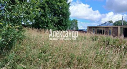 Купить земельный участок в г. Территория лебяжье. Фотография №2 Купить земельный участок в г. Территория лебяжье. Фотография №2