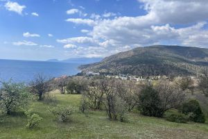 Продам земельный участок, г. Приветное , Крым авт. респ., Россия, агентство Центр продаж НОВОСТРОЙКИ