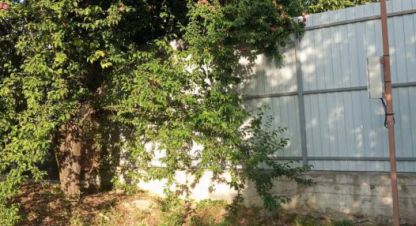 Продаётся земельный участок в г. Юбилейный-93 (пок новый) тер снт. Фотография №6 Продаётся земельный участок в г. Юбилейный-93 (пок новый) тер снт. Фотография №6