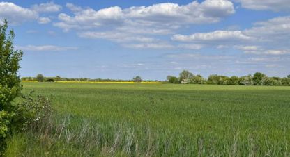 Купить земельный участок г. Пок баевка. Фотография №4