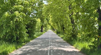 Купить земельный участок в г. Пок баевка. Фотография №2 Купить земельный участок в г. Пок баевка. Фотография №2
