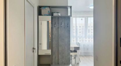 Купить квартиру 1 комнатную, 30.9 кв. м. Фотография №10 Купить квартиру 1 комнатную, 30.9 кв. м., Россия, г. Посёлокского типа мирный. Фотография №10