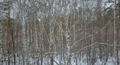 Купить квартиру 4-х комнатную, 168.1 кв. м., Россия, г. Новосибирск. Фотография №9