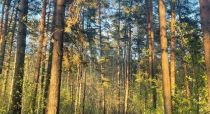 Продам квартиру 3-х комнатную с общей площадью 61.1м2, 3/9 эт., на улице Звездная, г. Новосибирск, Новосибирская обл., Россия, агентство ООО АГЕНТСТВО НЕДВИЖИМОСТИ ДЕЛЬТА. Фотография №1