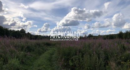 Купить земельный участок в г. Хийтольское сельское поселение. Фотография №3