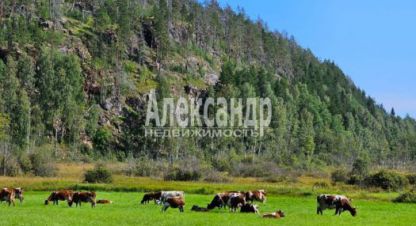 Купить земельный участок г. Мийнальское сельское поселение. Фотография №5 Купить земельный участок г. Мийнальское сельское поселение. Фотография №5