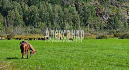 Купить земельный участок в г. Мийнальское сельское поселение. Фотография №2 Купить земельный участок в г. Мийнальское сельское поселение. Фотография №2