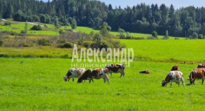 Продаётся земельный участок в г. Мийнальское сельское поселение. Фотография №7 Продаётся земельный участок в г. Мийнальское сельское поселение. Фотография №7