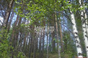 Продам земельный участок, Лахденпохский район, г. Посёлок райвио, Карелия респ., Россия, агентство Александр-Недвижимость