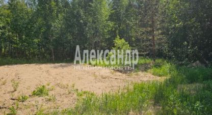 Купить земельный участок в г. Лахденпохья. Фотография №2