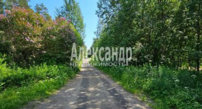 Купить земельный участок г. Лахденпохья. Фотография №5