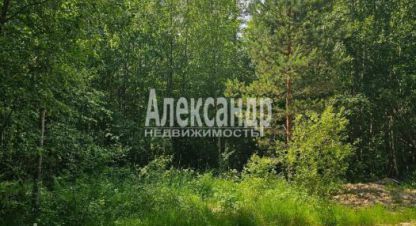 Купить земельный участок, Россия, г. Лахденпохья. Фотография №9