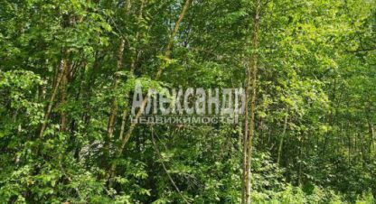 Продаётся земельный участок в г. Лахденпохья. Фотография №7