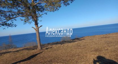 Продаётся земельный участок в г. Пуговкино. Фотография №7
