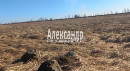 Купить земельный участок в г. Пуговкино. Фотография №3