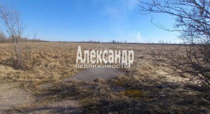 Продаётся земельный участок в г. Пуговкино. Фотография №6