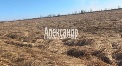 Купить земельный участок г. Пуговкино. Фотография №5