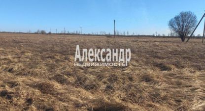Купить земельный участок в г. Пуговкино. Фотография №2