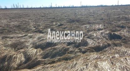Купить земельный участок г. Пуговкино. Фотография №4