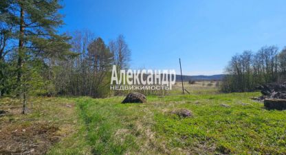 Купить земельный участок. Фотография №1 Продам земельный участок, Лахденпохский район, г. Посёлок ихоярвенкюля, Карелия респ., Россия, агентство Александр-Недвижимость. Фотография №1