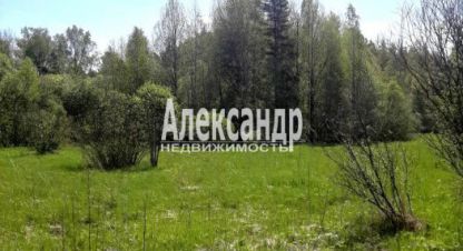 Продаётся земельный участок в г. Хийтольское сельское поселение. Фотография №6 Продаётся земельный участок в г. Хийтольское сельское поселение. Фотография №6