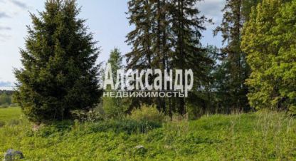Купить земельный участок в г. Мийнальское сельское поселение. Фотография №2 Купить земельный участок в г. Мийнальское сельское поселение. Фотография №2