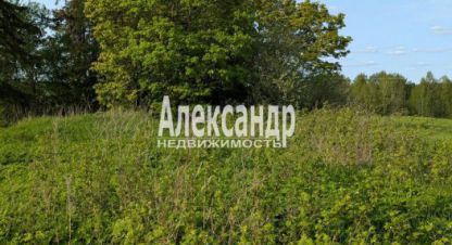 Продаётся земельный участок в г. Мийнальское сельское поселение. Фотография №6 Продаётся земельный участок в г. Мийнальское сельское поселение. Фотография №6