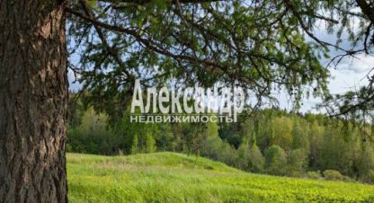 Купить земельный участок. Фотография №10 Купить земельный участок, Россия, г. Мийнальское сельское поселение. Фотография №10