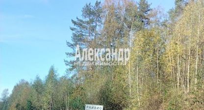 Купить земельный участок, Россия, г. Посёлок райвио. Фотография №9